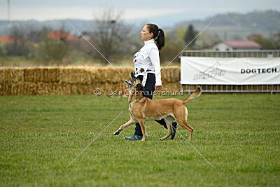 Whats Up von der Steinteichmühle