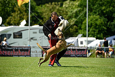 Whats Up von der Steinteichmühle