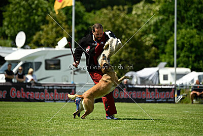 Whats Up von der Steinteichmühle