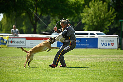 Whats Up von der Steinteichmühle