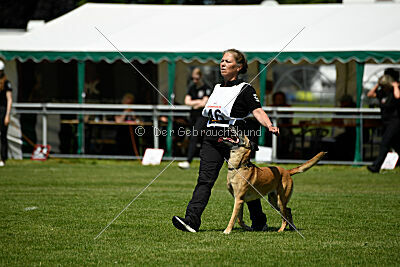 Whats Up von der Steinteichmühle