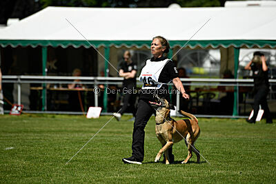 Whats Up von der Steinteichmühle