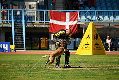 Whats Up von der Steinteichmühle