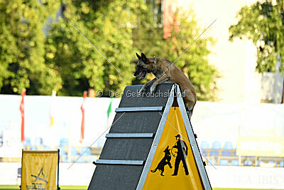 Whats Up von der Steinteichmühle