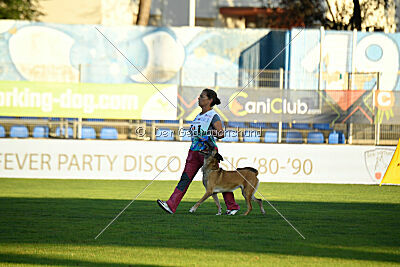 Whats Up von der Steinteichmühle