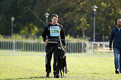 Whisky vom Cap Arkona