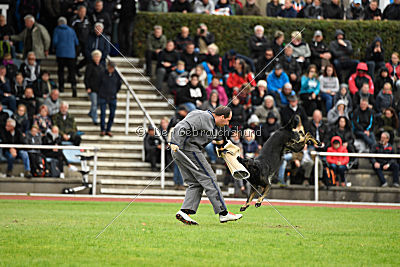 Whisky vom Cap Arkona