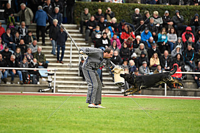 Whisky vom Cap Arkona