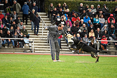 Whisky vom Cap Arkona