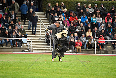 Whisky vom Cap Arkona