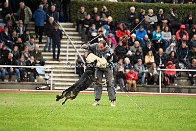 Whisky vom Cap Arkona