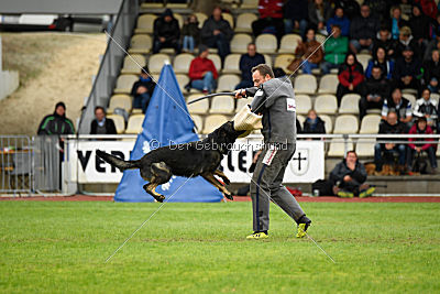 Whisky vom Cap Arkona