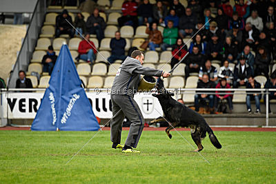 Whisky vom Cap Arkona