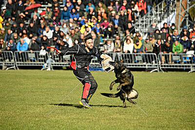 Wicko vom Waisagrund