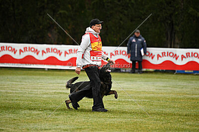 Wicko vom Waisagrund