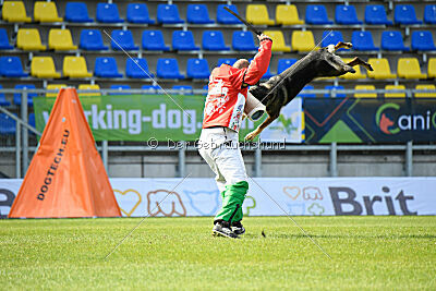 Wicky van Hamersslag