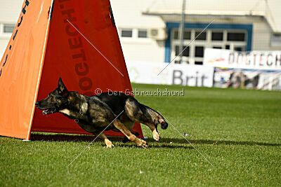 Wicky van Hamersslag