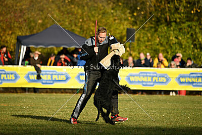 Willa Surprise von Blackmoore