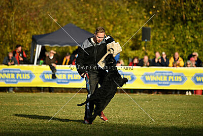 Willa Surprise von Blackmoore