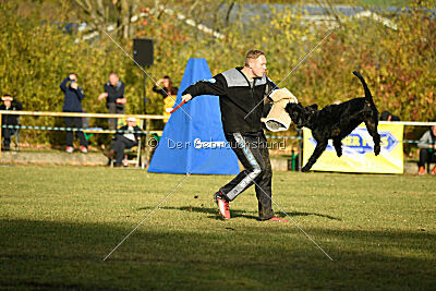 Willa Surprise von Blackmoore