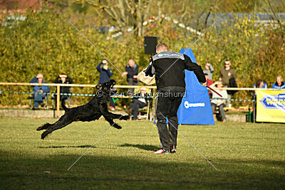 Willa Surprise von Blackmoore