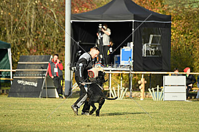 Willa Surprise von Blackmoore