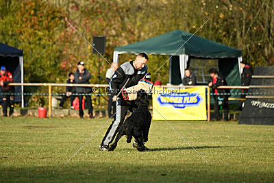 Willa Surprise von Blackmoore