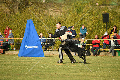 Willa Surprise von Blackmoore