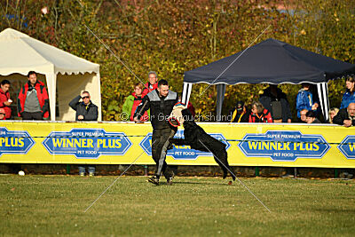 Willa Surprise von Blackmoore