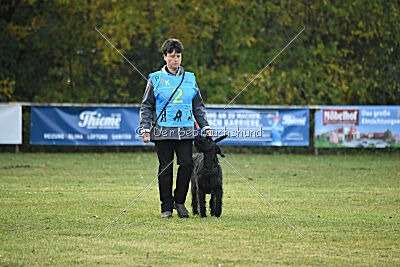 Willa Surprise von Blackmoore