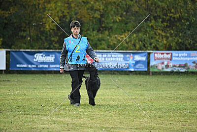 Willa Surprise von Blackmoore