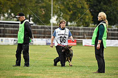 Willow vom Salztalblick