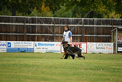 Willow vom Salztalblick