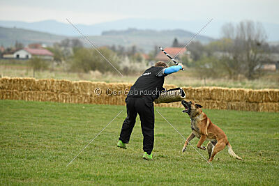 Win vom Further Moor