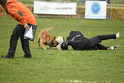 Win vom Further Moor