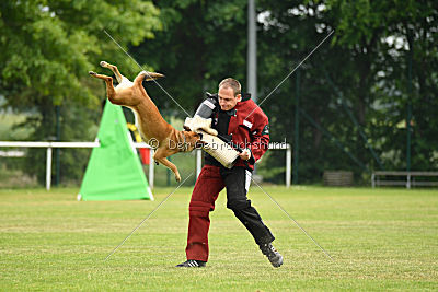 Wisa vom Further Moor