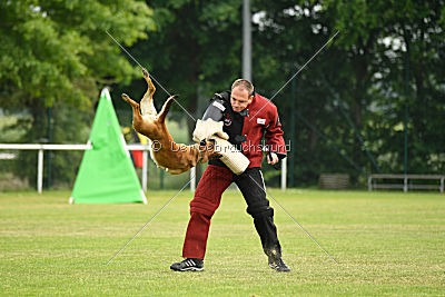 Wisa vom Further Moor