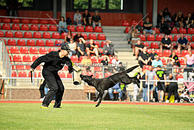 Wonder von der Sigisliebe