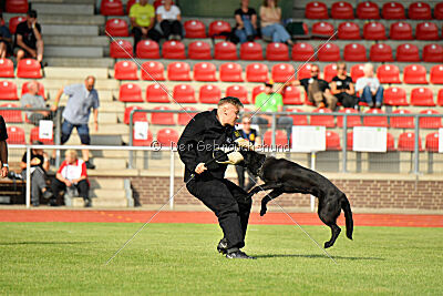 Wonder von der Sigisliebe