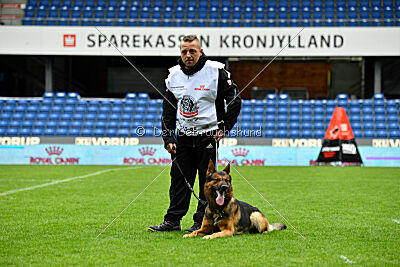 Woodstock vom Haus Pixner