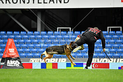 Woodstock vom Haus Pixner