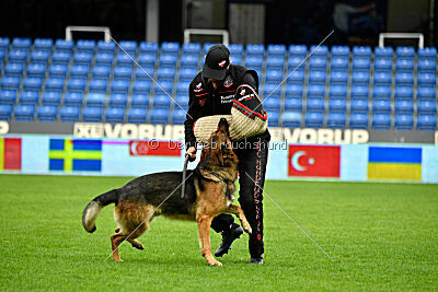 Woodstock vom Haus Pixner