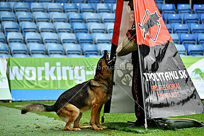 Woodstock vom Haus Pixner