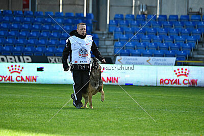 Woodstock vom Haus Pixner