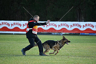 Woodstock vom Haus Pixner