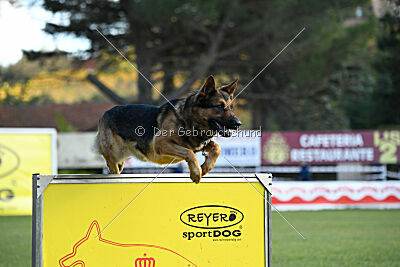 Woodstock vom Haus Pixner