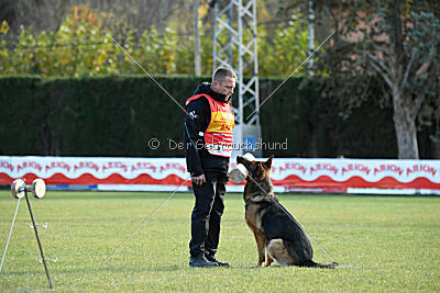 Woodstock vom Haus Pixner