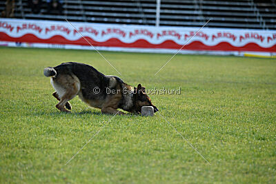 Woodstock vom Haus Pixner
