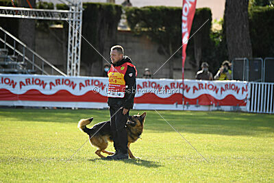 Woodstock vom Haus Pixner