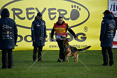 Woodstock vom Haus Pixner